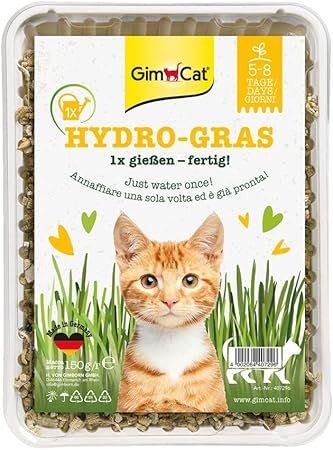 GimCat Hydro Grass - B0085IL0BM 4 GimCat Hydro Grass – B0085IL0BM